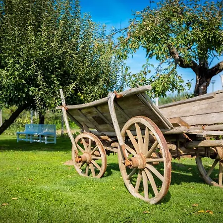 Orgona Vendeghaz Konukevi 3*