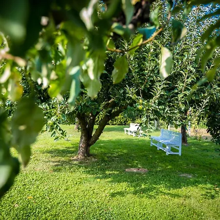 Konukevi Orgona Vendeghaz