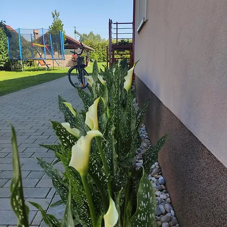 Orgona Vendeghaz Konukevi 3*