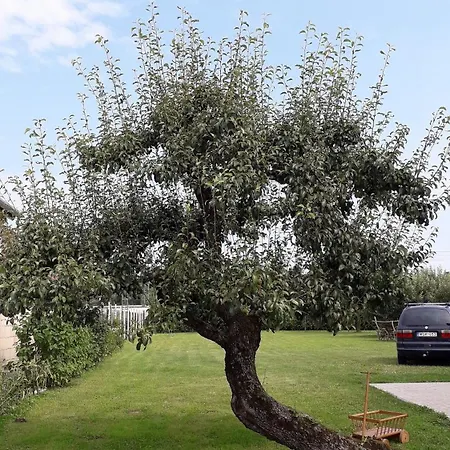 Orgona Vendeghaz Konukevi