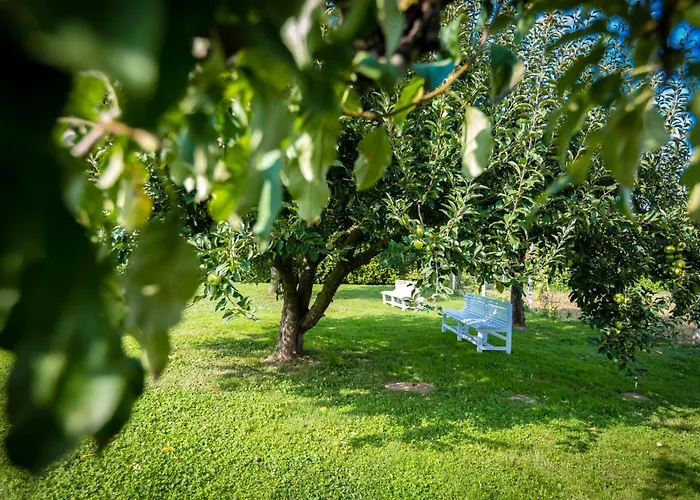 Pensjonat Orgona Vendeghaz