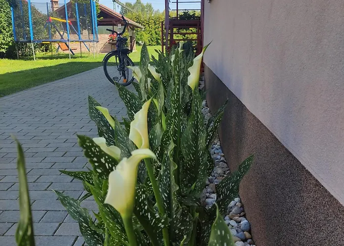 Orgona Vendeghaz Pensjonat 3*