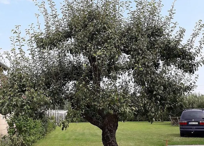 Orgona Vendeghaz Pensjonat